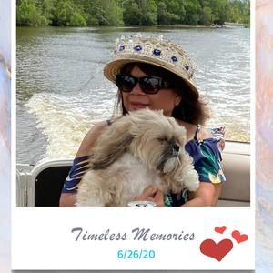 Meet your Posher, Susan